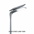 EDNES Solar Straatlamp 100W